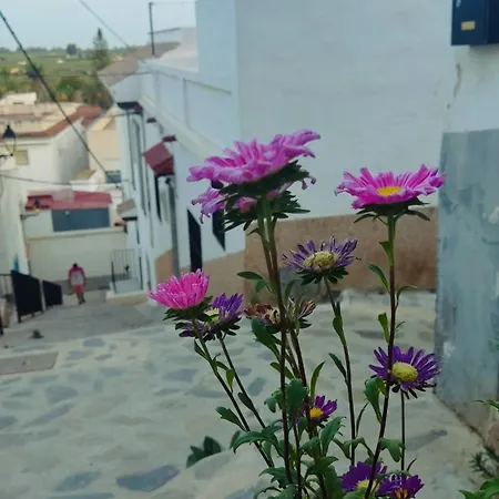 Casa Fuente Holiday home Salobrena